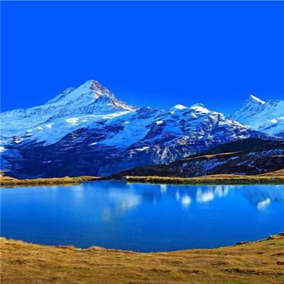 m6米乐网页版登录入口下载手机版