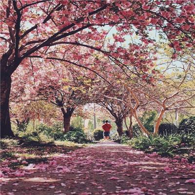 乐鱼app官网正式版下载手机app下载