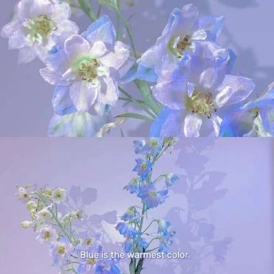 ky体育下载手机版