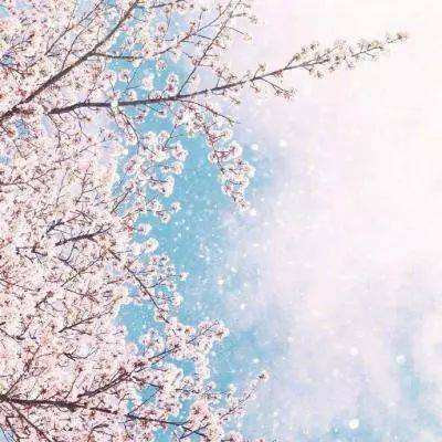 爱体育APPapp下载