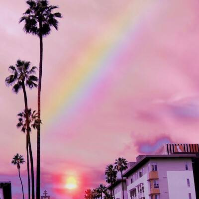 管家婆一码一肖资料大全下载手机版