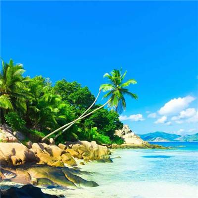 麻将胡了模拟器下载