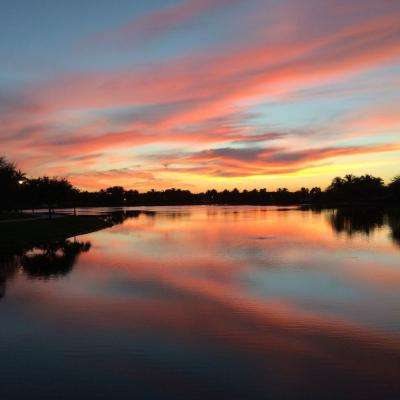 ag真人平台官方手机app下载